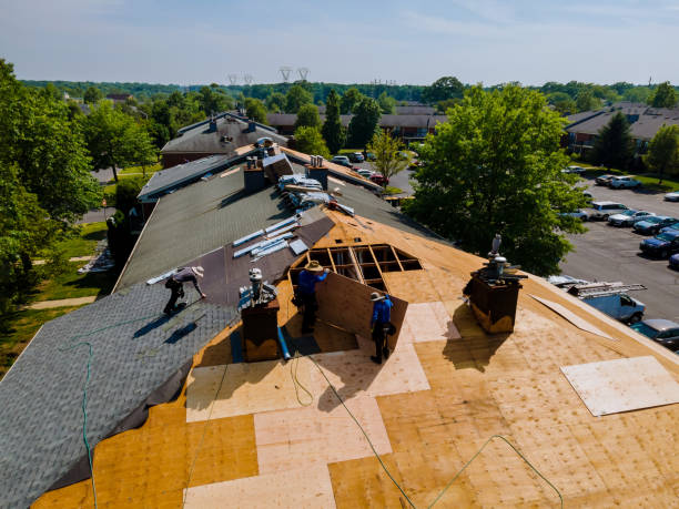 Best Roof Waterproofing Services  in Lyndhurst, VA