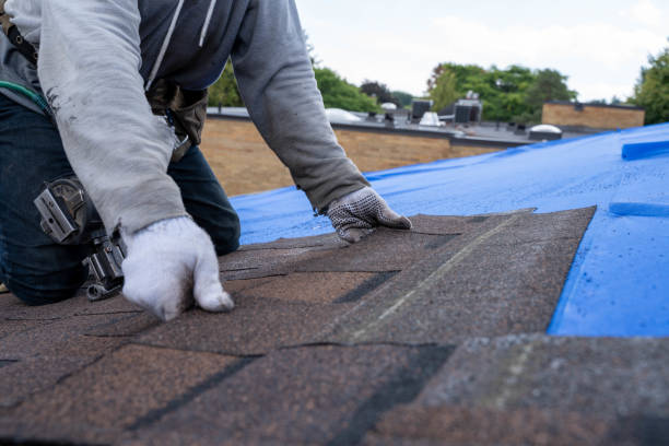Best Roof Inspection Near Me  in Lyndhurst, VA