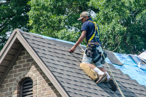 Best Roof Maintenance Services  in Lyndhurst, VA